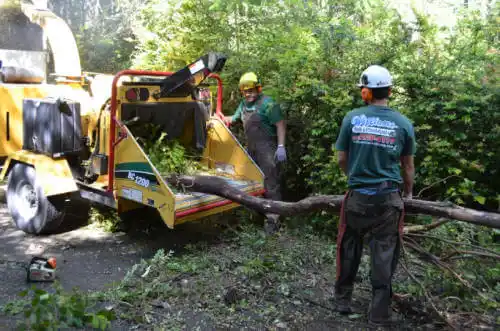 tree services Grand Tower